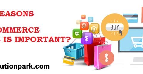 8 Reasons Why Ecommerce Is So Important For Your E-Commerce Business | IT Solution Park | E-commerce website design